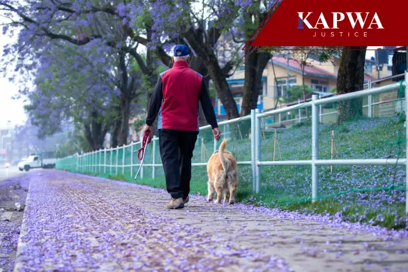 pedestrian crash in Huntington Beach